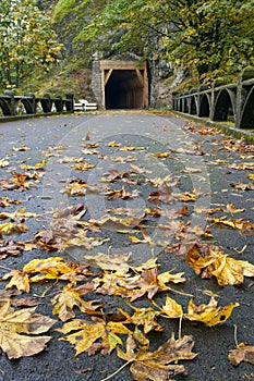 Tunnel on Oneonta Gorge Hiking Trail