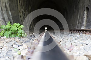 Train tunnel on Olt river canyon