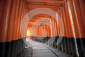 Tunnel of red torii gates