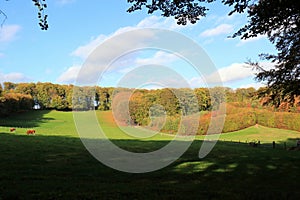 Tunnel shaped beech hedge landscape estate Mariendaal, Oosterbeek