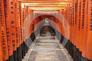 Tunnel of torii gates at Fushimi Inari shrine in Kyoto photo