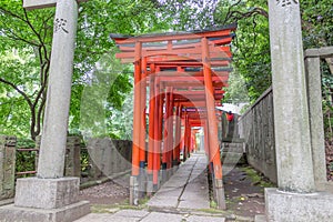 Tunnel of torii gates, Nezu Shrine, Ueno, Tokyo, Japan