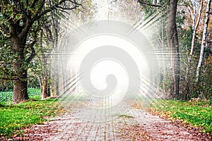 Tunnel of trees leading to light , Background of religions