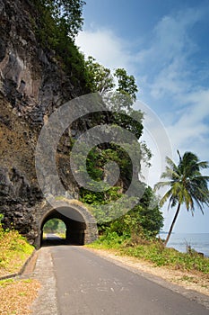 Tunnel on a Tropical Road