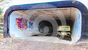 tunnel under road on the a38 in england, walking in the park