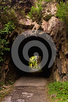 Tunnel way in nature asturias spain