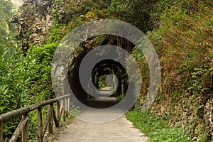 Tunnel way in nature asturias spain