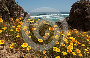 chile, Tunquen beach