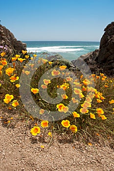 chile, Tunquen beach