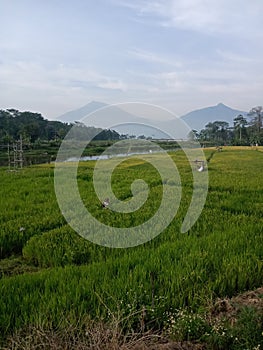 Tuntang River central java in Indonesia background