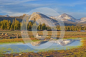 Tuolumne Meadows photo