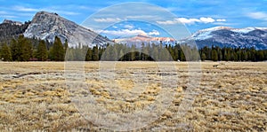 Tuolumne Meadows near sunset, Yosemite National Park photo