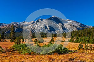 Tuolumne meadows in summer, Yosemite National Park. photo