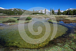 Tuolumne Meadows, Yosemite photo