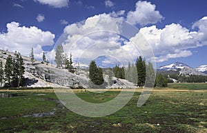 Tuolumne Meadows in Yosemite