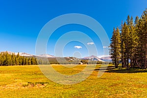 Tuolumne Meadows in Yosemite National Park