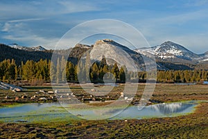 Tuolumne Meadows, Yosemite National Park