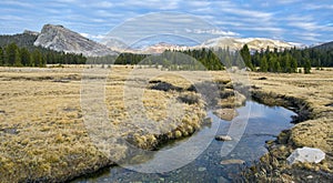 Tuolumne Meadows, Yosemite National Park