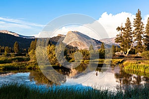 Tuolumne Meadows, Yosemite National Park, California