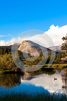 Tuolumne Meadows, Yosemite National Park, California