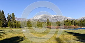 Tuolumne Meadows, Yosemite Park