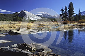 Tuolumne River in Yosemite photo