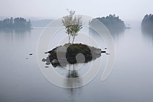 Tupper Lake In The Rain