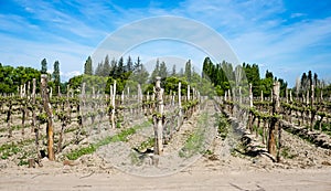 Tupungato (outside Mendoza), Argentina