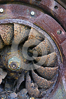 Turbina photo