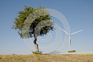 Turbine eoliche, in sud Italia