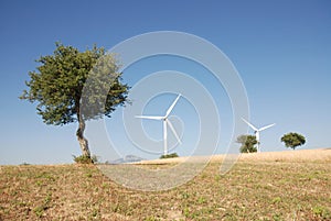 Turbine eoliche, in sud Italia