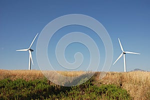 Turbine eoliche, in sud Italia photo