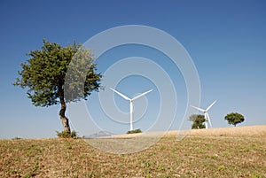 Turbine eoliche, in sud Italia photo