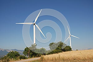 Turbine eoliche, in sud Italia photo