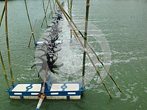 Turbine rotates the surface to increase oxygen in fish pond and shrimp pond. Turbine and shrimp farming techniques. Water oxygen g