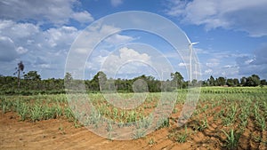 A turbines  of solar panels with wind rotating on mountains