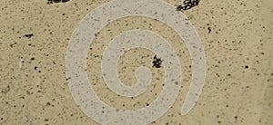 Turbit water floating