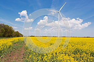 Turbogenerator on the field of blooming canola, blue sky with clouds