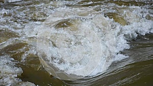 Turbulent gushing river water, vertiginous flow, swirling foamy water waves after heavy rain, turbid water rapids of Mur river,