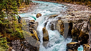 The turbulent turquoise water of the Sunwapta River as it tumbles down Sunwapta Falls in Jasper National Park