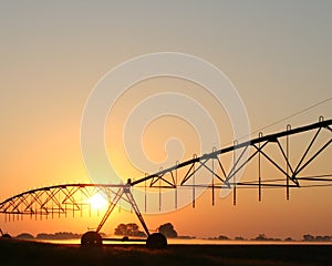 Turf Farm Sunrise