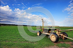 Turf farming, Australia