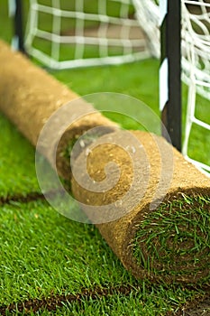 Turf grass rolls on football field