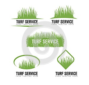 Turf Lawn And Garden Care Company Creative Design Element. Vector Grass And Tree Icon Set For Landscaping Company