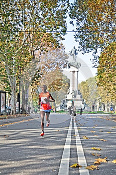 Turin Marathon 2011