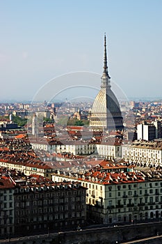 Turin Mole