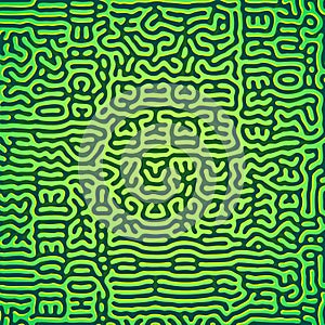 Turing morphogenesis reaction diffusion pattern photo