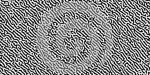 Turing reaction diffusion black and white seamless pattern with chaotic motion photo