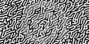 Turing reaction diffusion black and white seamless pattern with directional motion photo