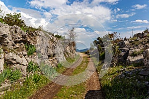 Turist`s road based in Konavle region.